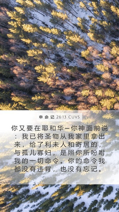 申 命 记 26:13 CUVS Bible Verse Image