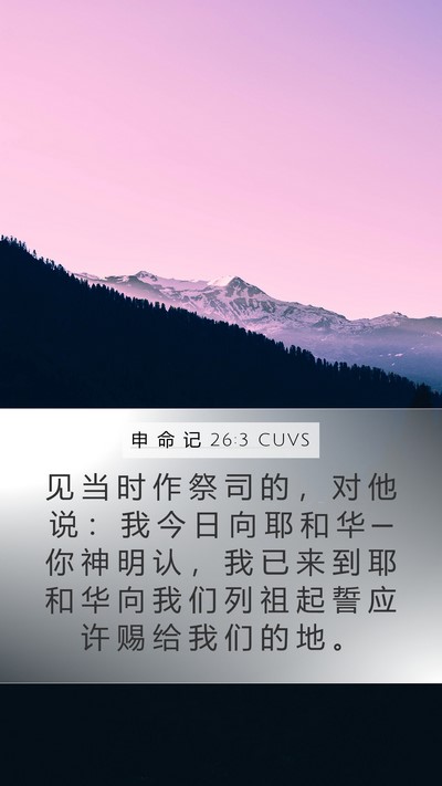 申 命 记 26:3 CUVS Mobile Phone Wallpaper - 见 当 时 作 祭 司 的 ， 对 他 说 ： - Mobile Bible Verse Wallpaper