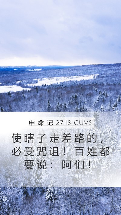 申 命 记 27:18 CUVS Bible Verse Image