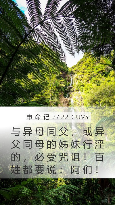 申 命 记 27:22 CUVS Mobile Phone Wallpaper - 与 异 母 同 父 ， 或 异 父 同 母 的 - Mobile Bible Verse Wallpaper