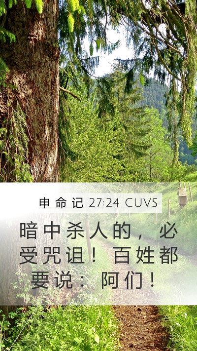 申 命 记 27:24 CUVS Bible Verse Image