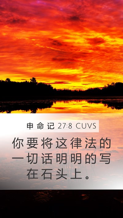 申 命 记 27:8 CUVS Bible Verse Image