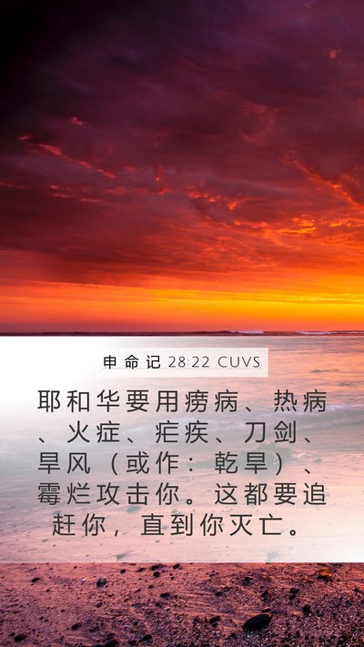申 命 记 28:22 CUVS Bible Verse Image