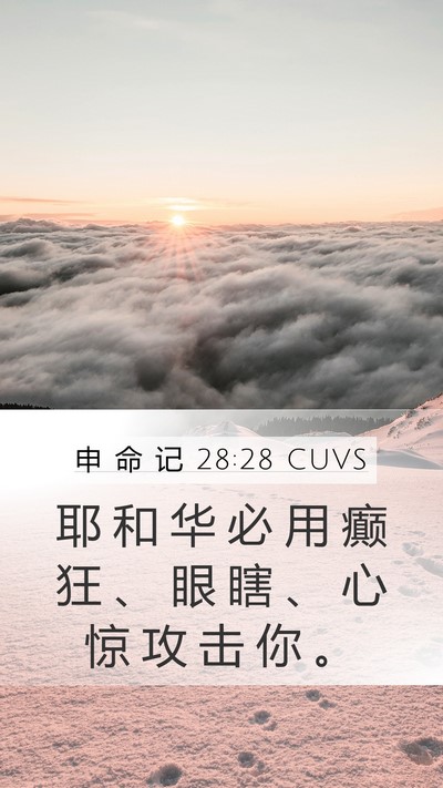 申 命 记 28:28 CUVS Bible Verse Image