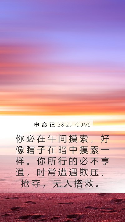 申 命 记 28:29 CUVS Bible Verse Image