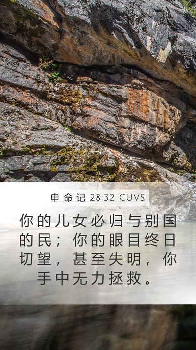 申 命 记 28:32 CUVS Bible Verse Image
