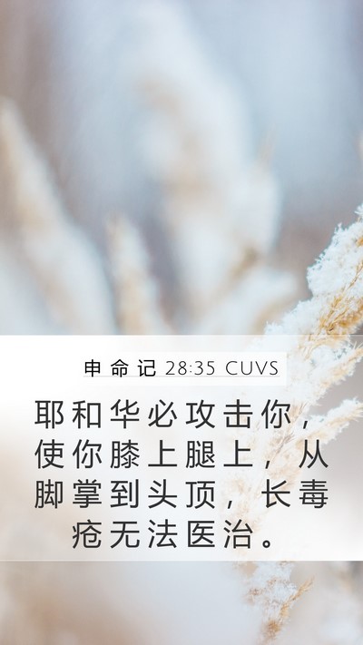 申 命 记 28:35 CUVS Bible Verse Image