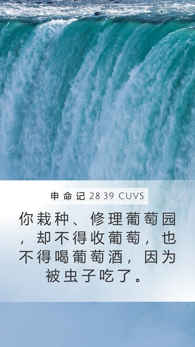 申 命 记 28:39 CUVS Bible Verse Image