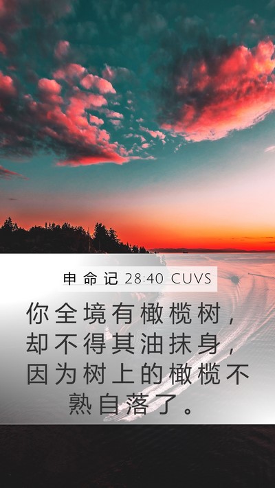 申 命 记 28:40 CUVS Bible Verse Image