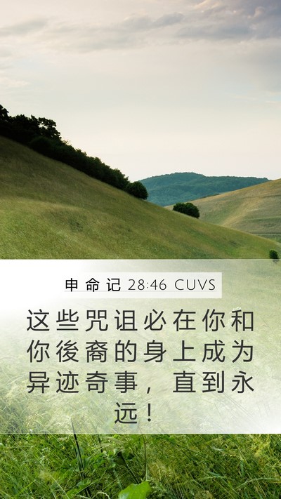 申 命 记 28:46 CUVS Mobile Phone Wallpaper - 这 些 咒 诅 必 在 你 和 你 後 裔 的 - Mobile Bible Verse Wallpaper