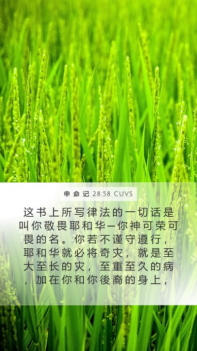 申 命 记 28:58 CUVS Bible Verse Image