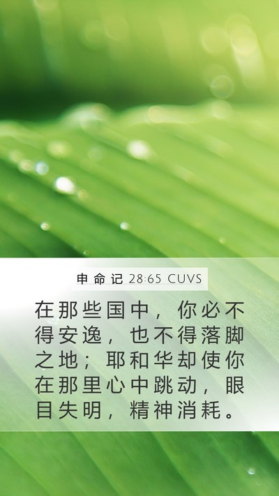 申 命 记 28:65 CUVS Bible Verse Image