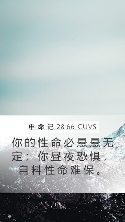 申 命 记 28:66 CUVS Mobile Phone Wallpaper - 你 的 性 命 必 悬 悬 无 定 ； 你 昼 - Mobile Bible Verse Wallpaper
