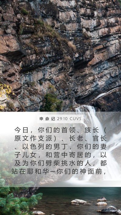 申 命 记 29:10 CUVS Bible Verse Image
