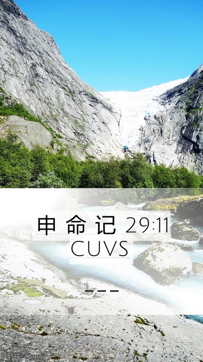 申 命 记 29:11 CUVS Bible Verse Image