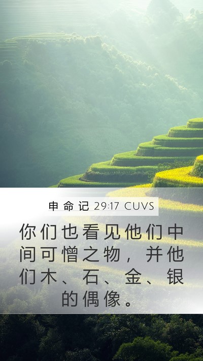 申 命 记 29:17 CUVS Mobile Phone Wallpaper - 你 们 也 看 见 他 们 中 间 可 憎 之 - Mobile Bible Verse Wallpaper