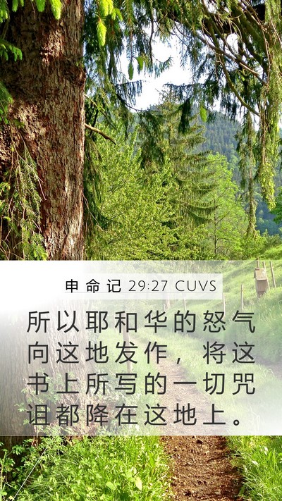 申 命 记 29:27 CUVS Bible Verse Image