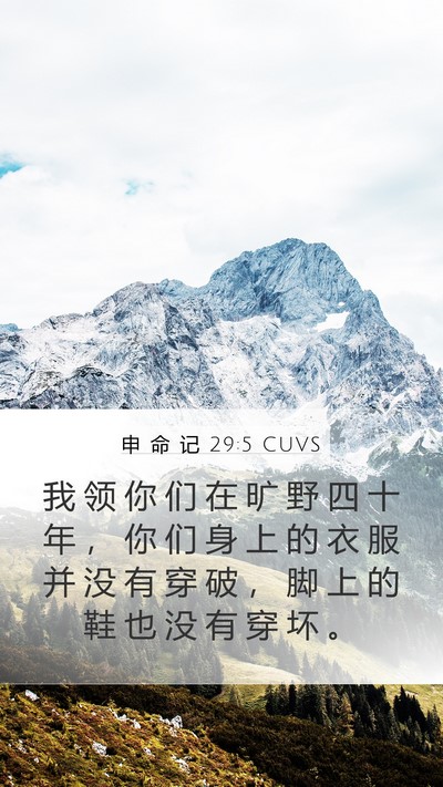 申 命 记 29:5 CUVS Bible Verse Image