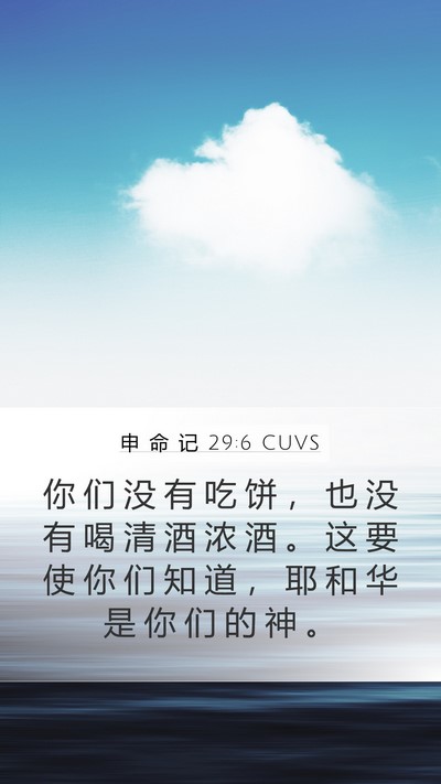 申 命 记 29:6 CUVS Bible Verse Image
