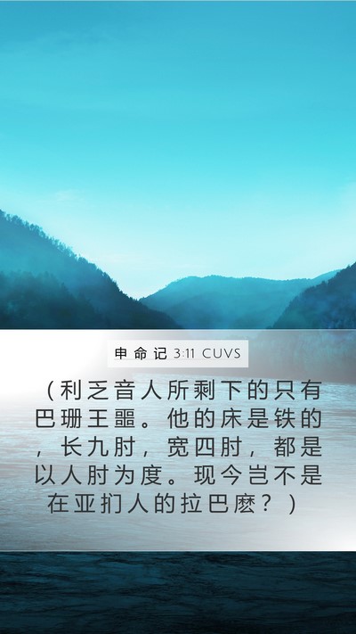 申 命 记 3:11 CUVS Bible Verse Image