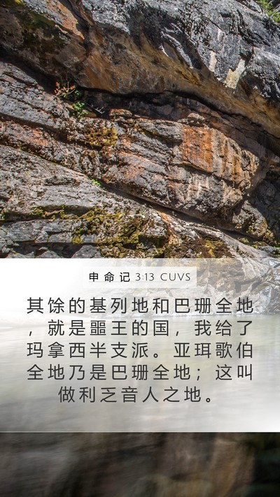 申 命 记 3:13 CUVS Bible Verse Image