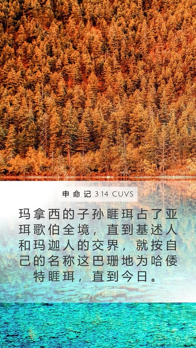 申 命 记 3:14 CUVS Bible Verse Image