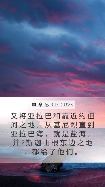 申 命 记 3:17 CUVS Bible Verse Image