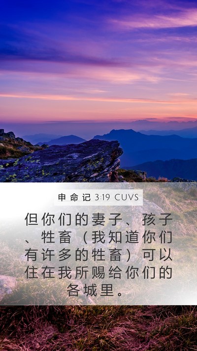 申 命 记 3:19 CUVS Mobile Phone Wallpaper - 但 你 们 的 妻 子 、 孩 子 、 牲 畜 - Mobile Bible Verse Wallpaper