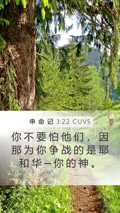 申 命 记 3:22 CUVS Bible Verse Image