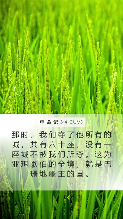申 命 记 3:4 CUVS Mobile Phone Wallpaper - 那 时 ， 我 们 夺 了 他 所 有 的 城 - Mobile Bible Verse Wallpaper