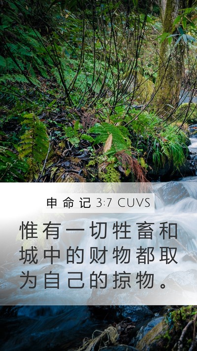 申 命 记 3:7 CUVS Mobile Phone Wallpaper - 惟 有 一 切 牲 畜 和 城 中 的 财 物 - Mobile Bible Verse Wallpaper