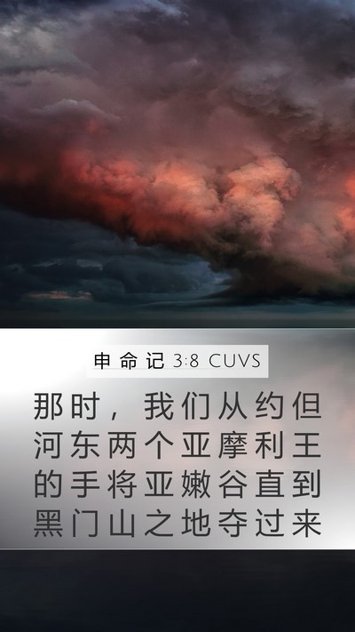 申 命 记 3:8 CUVS Bible Verse Image