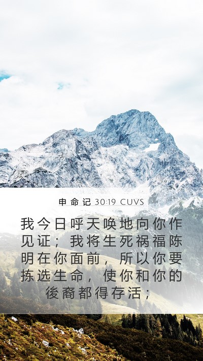 申 命 记 30:19 CUVS Bible Verse Image