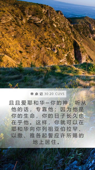 申 命 记 30:20 CUVS Bible Verse Image