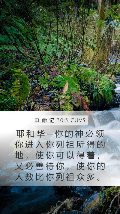 申 命 记 30:5 CUVS Mobile Phone Wallpaper - 耶 和 华 ─ 你 的 神 必 领 你 进 入 - Mobile Bible Verse Wallpaper