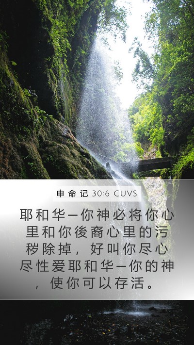 申 命 记 30:6 CUVS Bible Verse Image