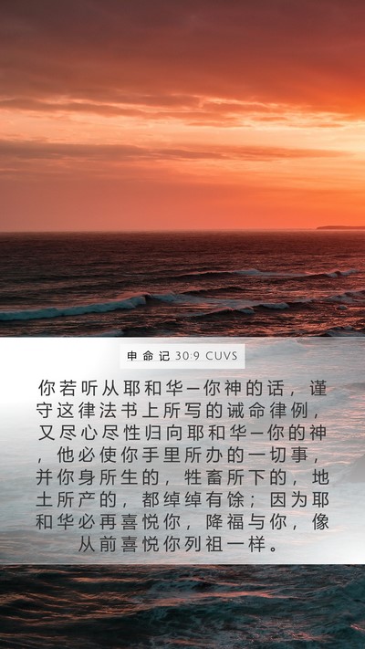 申 命 记 30:9 CUVS Bible Verse Image