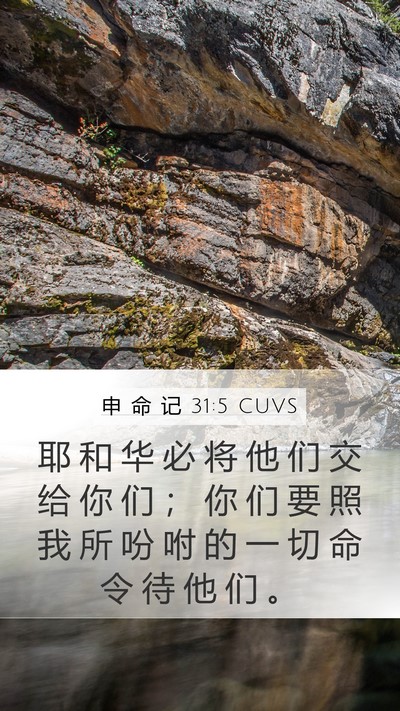 申 命 记 31:5 CUVS Mobile Phone Wallpaper - 耶 和 华 必 将 他 们 交 给 你 们 ； - Mobile Bible Verse Wallpaper