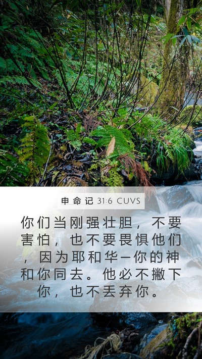 申 命 记 31:6 CUVS Bible Verse Image