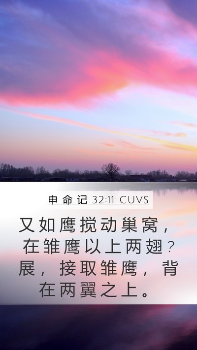 申 命 记 32:11 CUVS Bible Verse Image