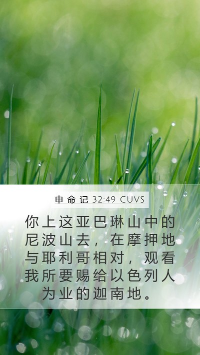 申 命 记 32:49 CUVS Bible Verse Image