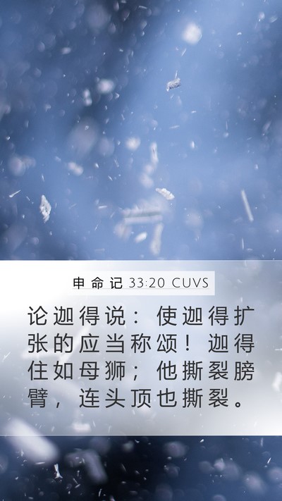 申 命 记 33:20 CUVS Bible Verse Image