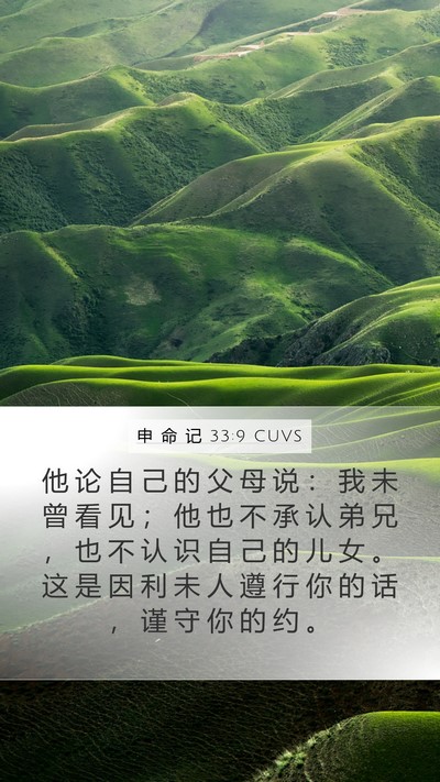 申 命 记 33:9 CUVS Bible Verse Image