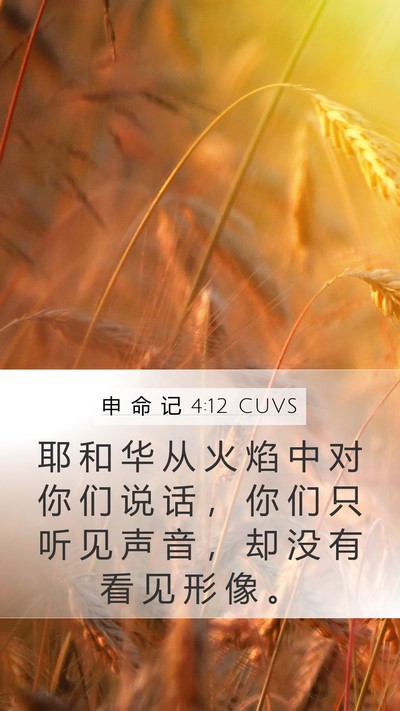 申 命 记 4:12 CUVS Mobile Phone Wallpaper - 耶 和 华 从 火 焰 中 对 你 们 说 话 - Mobile Bible Verse Wallpaper