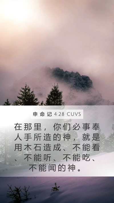 申 命 记 4:28 CUVS Bible Verse Image