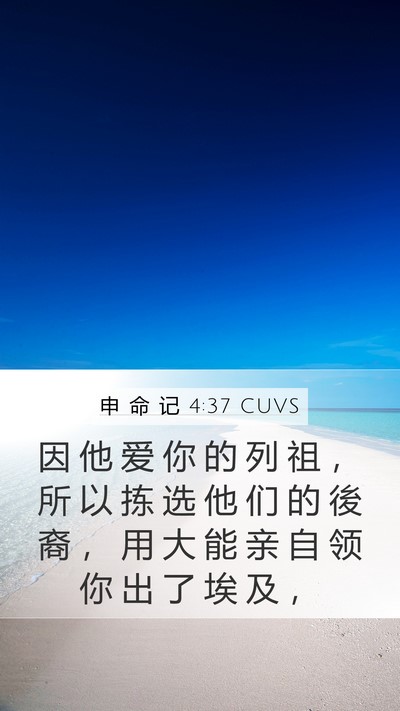 申 命 记 4:37 CUVS Bible Verse Image