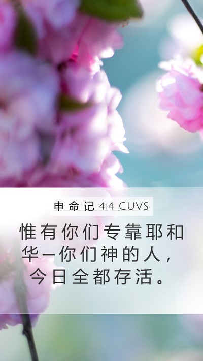 申 命 记 4:4 CUVS Mobile Phone Wallpaper - 惟 有 你 们 专 靠 耶 和 华 ─ 你 们 - Mobile Bible Verse Wallpaper