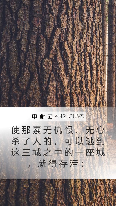 申 命 记 4:42 CUVS Bible Verse Image