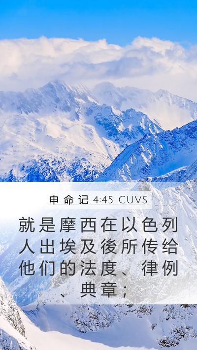 申 命 记 4:45 CUVS Bible Verse Image