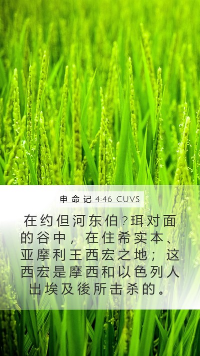 申 命 记 4:46 CUVS Bible Verse Image
